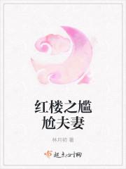 红楼之尴尬夫妻